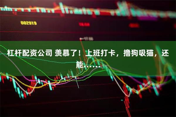 杠杆配资公司 羡慕了！上班打卡，撸狗吸猫，还能……