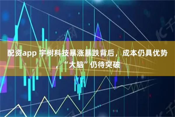 配资app 宇树科技暴涨暴跌背后，成本仍具优势，“大脑”仍待突破